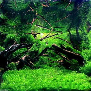 田山建設事務所が完成したら置きたいもの