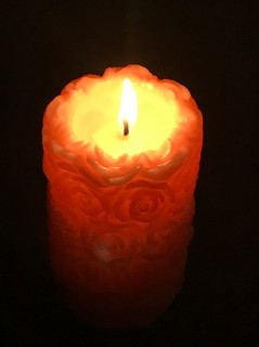 地震に強い家をつくる会社の情報誌