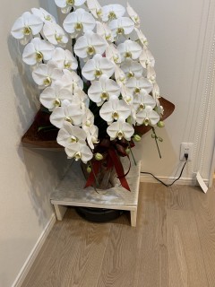 昨日のブログの回答発表！