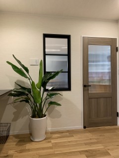 憧れのグリーンインテリア