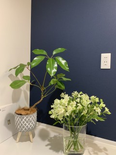 ゴールデンウィーク？