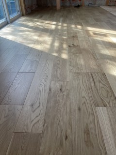 ポストに何かいいものありませんでしたか？