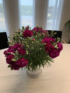 地震に強いし性能もイイ家なんですよ～