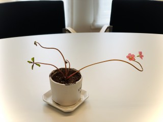 でえく65号発送しました