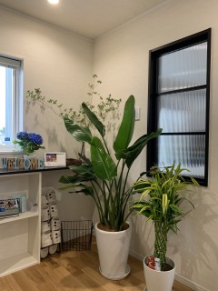 負けず嫌いなんです