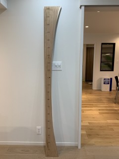 せいくらべの木