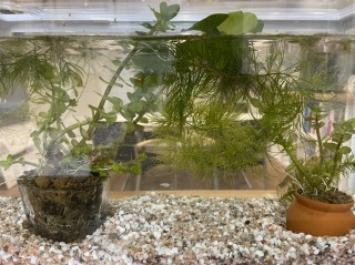 事務所に新しい仲間が来たよ