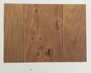 ブラックチェリー《ガムポケット》