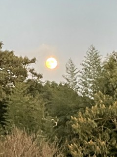 ほぼ中秋の名月