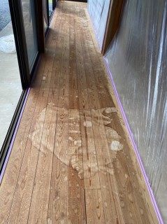 よみがえりました