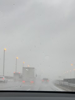 展示会に行ってきました