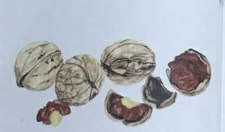 子孫繁栄の象徴