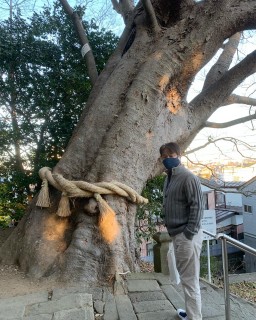 茨城弁しゃべれっかんな。