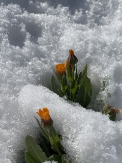 寒い日によくわかるんだ