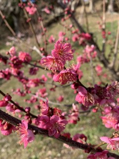 運動不足解消したい