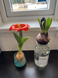 完成見学会前日