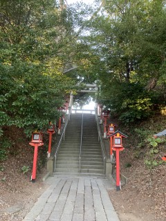 楽観は成功のもと