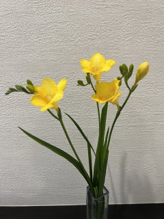 宅建実務講習・修了試験受けました