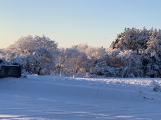 今夜、雪になるのかな
