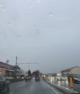 雨にも負けず