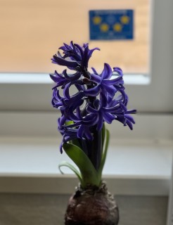 時間を有効に使いましょう！