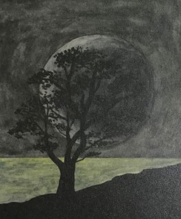 新月の木