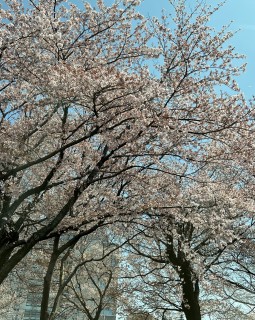 ありがとうの記録