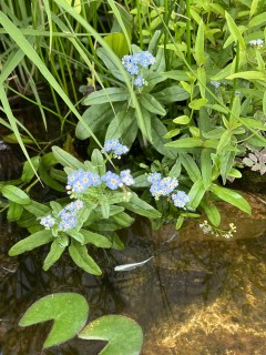 つらさに耐えて成長する