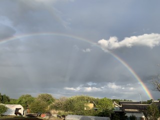 水害に強い水に浮く家が気になる