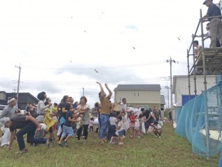 イベントの予定