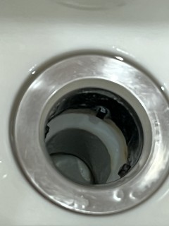 4週間放置の排水口のヌメリ