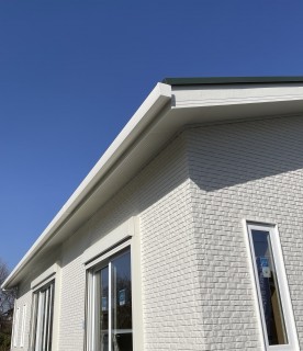 確定申告あきらめました