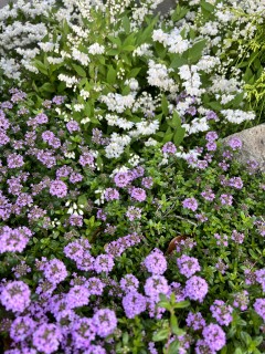 水戸市で地震に強い家づくりをしている田山建設のコンセプトブック作成中