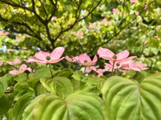 田山建設のコンセプトブックが完成しました！