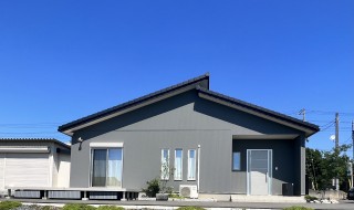 どうする　外観の色