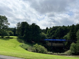 100はきれたけどねー