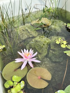 ひとりだけでも喜んでくれる人がいるなら頑張れる