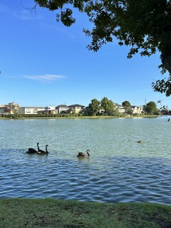 出張整体でスッキリ