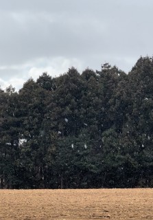 冬の災害に対する備え