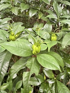 田山建設を選んでくれてありがとうございます