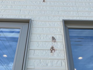 汚れた白い外壁のその後