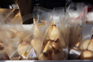 田山建設お客様感謝祭：霞ノレンコン