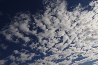 ナイスタイミング