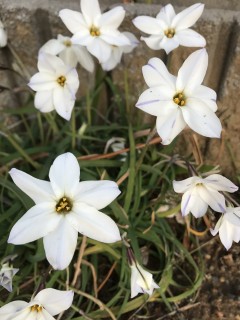 田山建設協力業者会のはじまりを思い出してみた