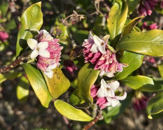 彼岸の中日（春分の日）