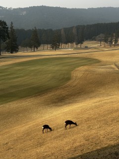 ところ変わればってことなのかな～