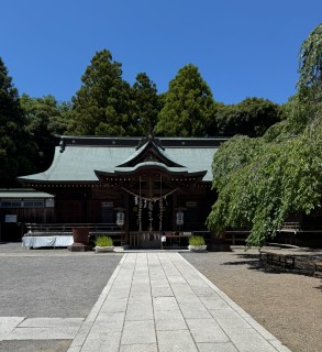 水戸吉田神社　濱降祭が復活