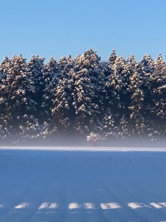 地震に強い家づくり2/8・神様お願い