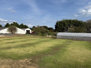 事務所の除草作業