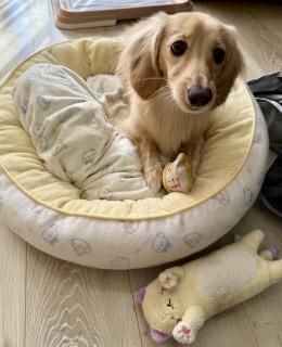 ２０２６年・日常ブログ始めます